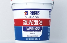 洪江你知道湖南真石漆的優(yōu)點嗎